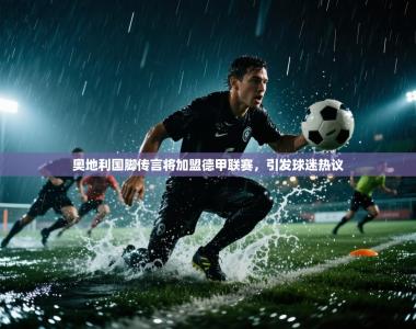 奥地利国脚传言将加盟德甲联赛，引发球迷热议