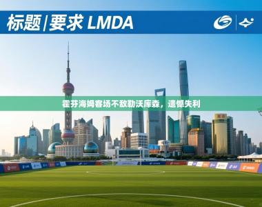 霍芬海姆客场不敌勒沃库森，遗憾失利