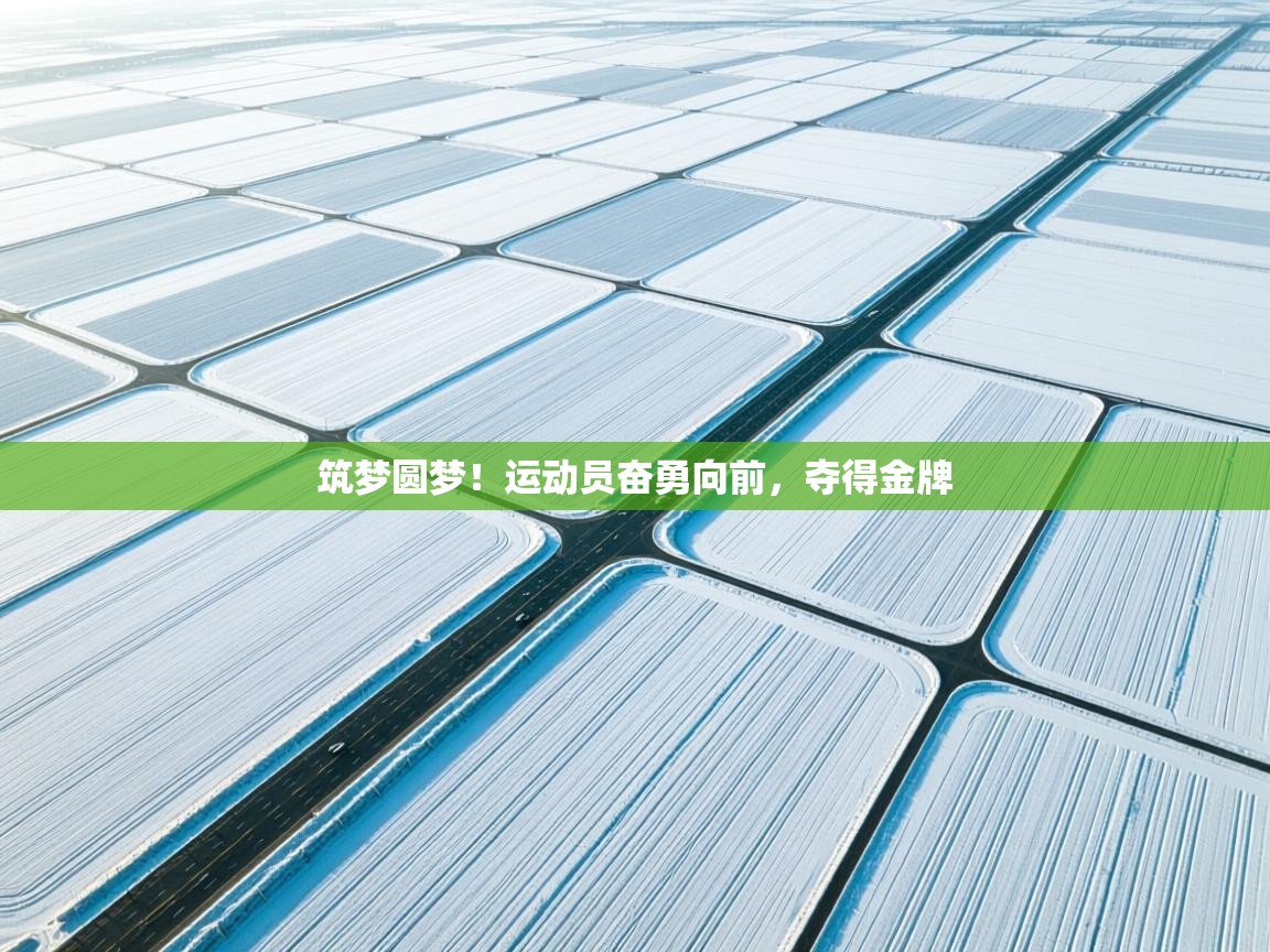 筑梦圆梦!运动员奋勇向前,夺得金牌