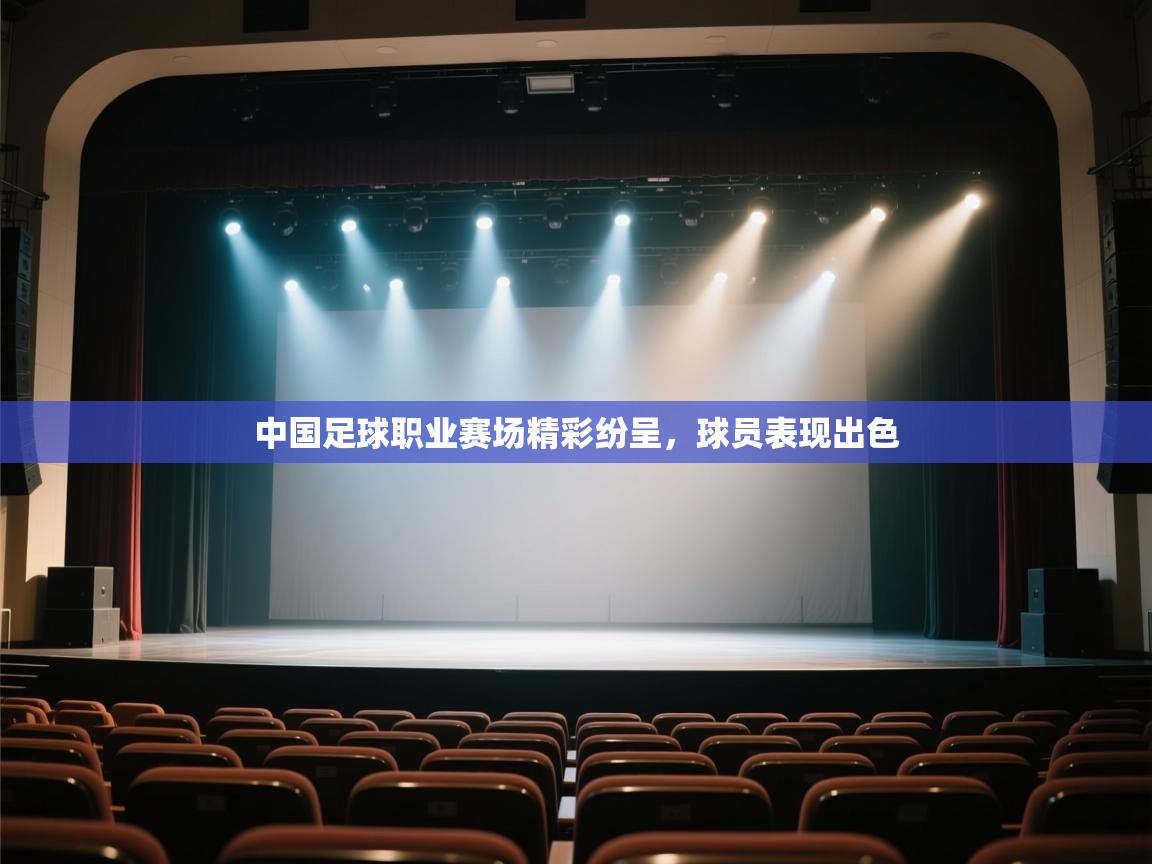 中国足球职业赛场精彩纷呈,球员表现出色 第1张