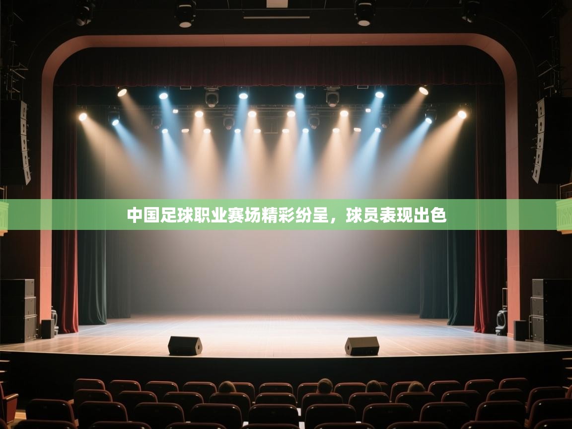 中国足球职业赛场精彩纷呈,球员表现出色 第2张