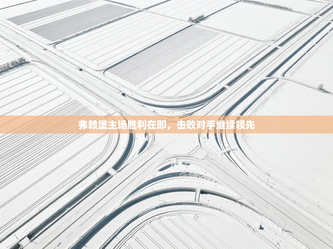 弗赖堡主场胜利在即,击败对手继续领先 第2张