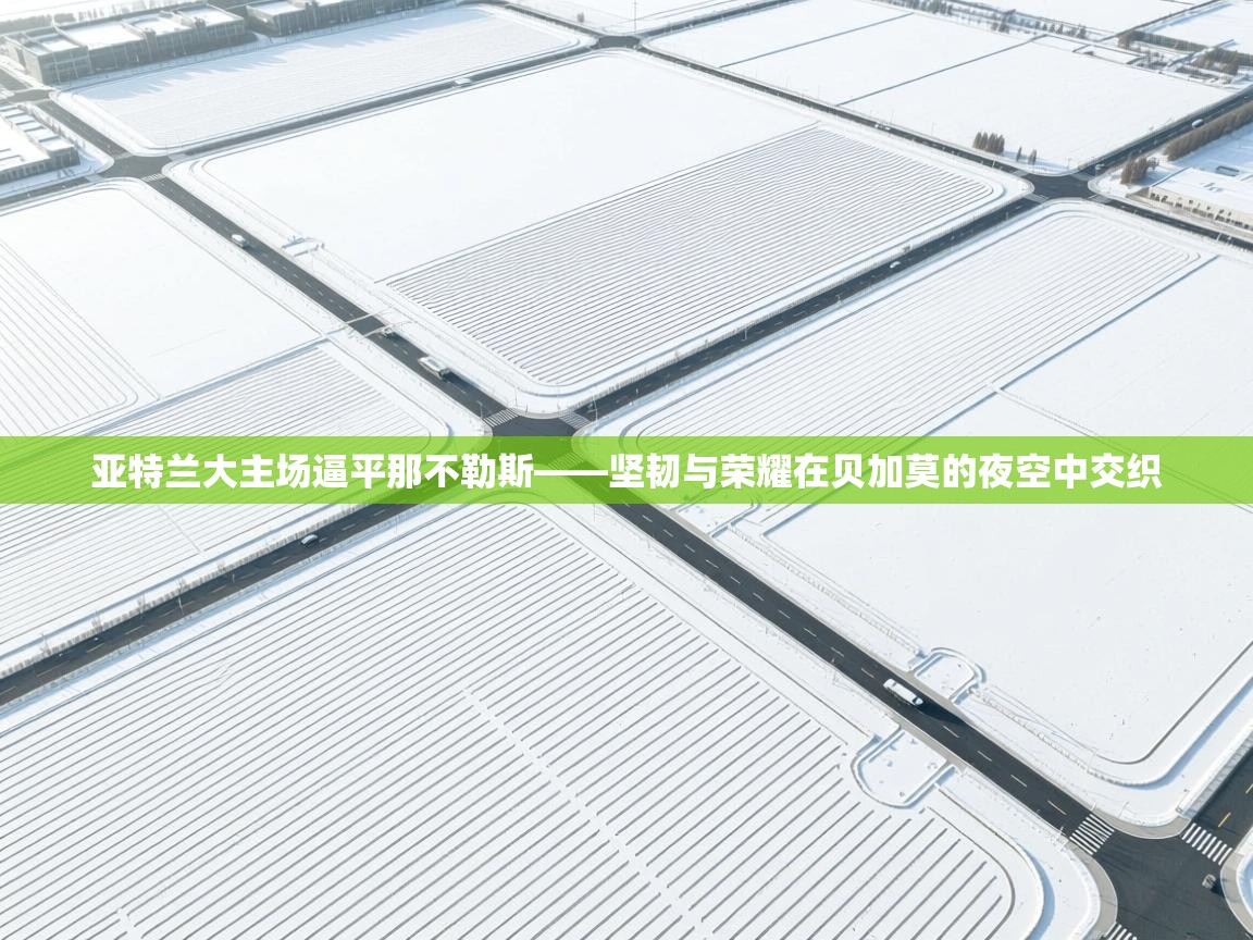 亚特兰大主场逼平那不勒斯——坚韧与荣耀在贝加莫的夜空中交织 第2张