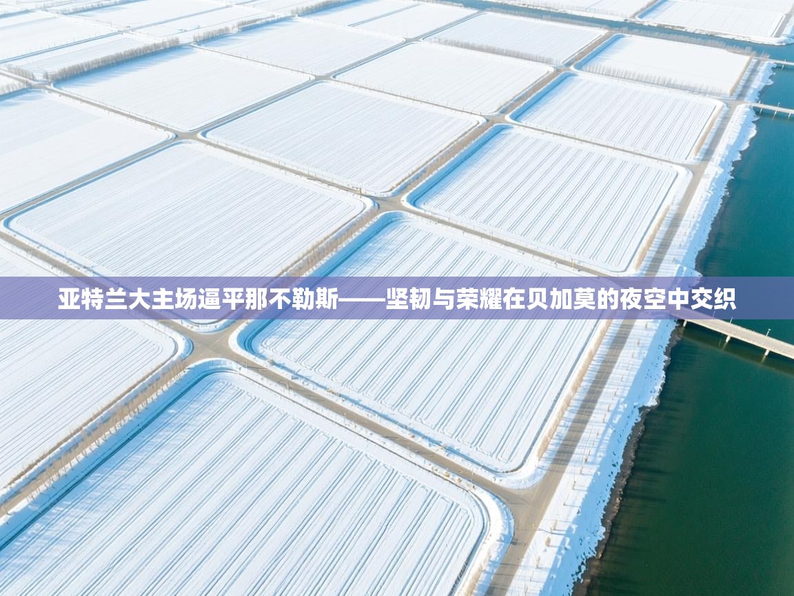 亚特兰大主场逼平那不勒斯——坚韧与荣耀在贝加莫的夜空中交织 第1张