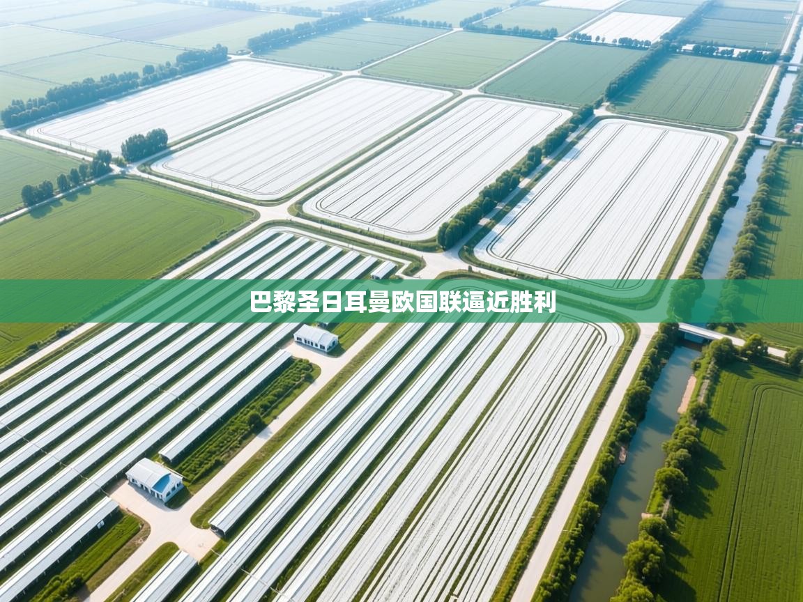 巴黎圣日耳曼欧国联逼近胜利  第1张