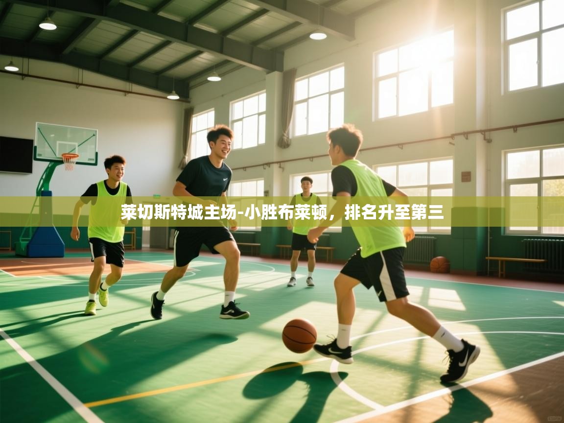 莱切斯特城主场-小胜布莱顿，排名升至第三  第1张