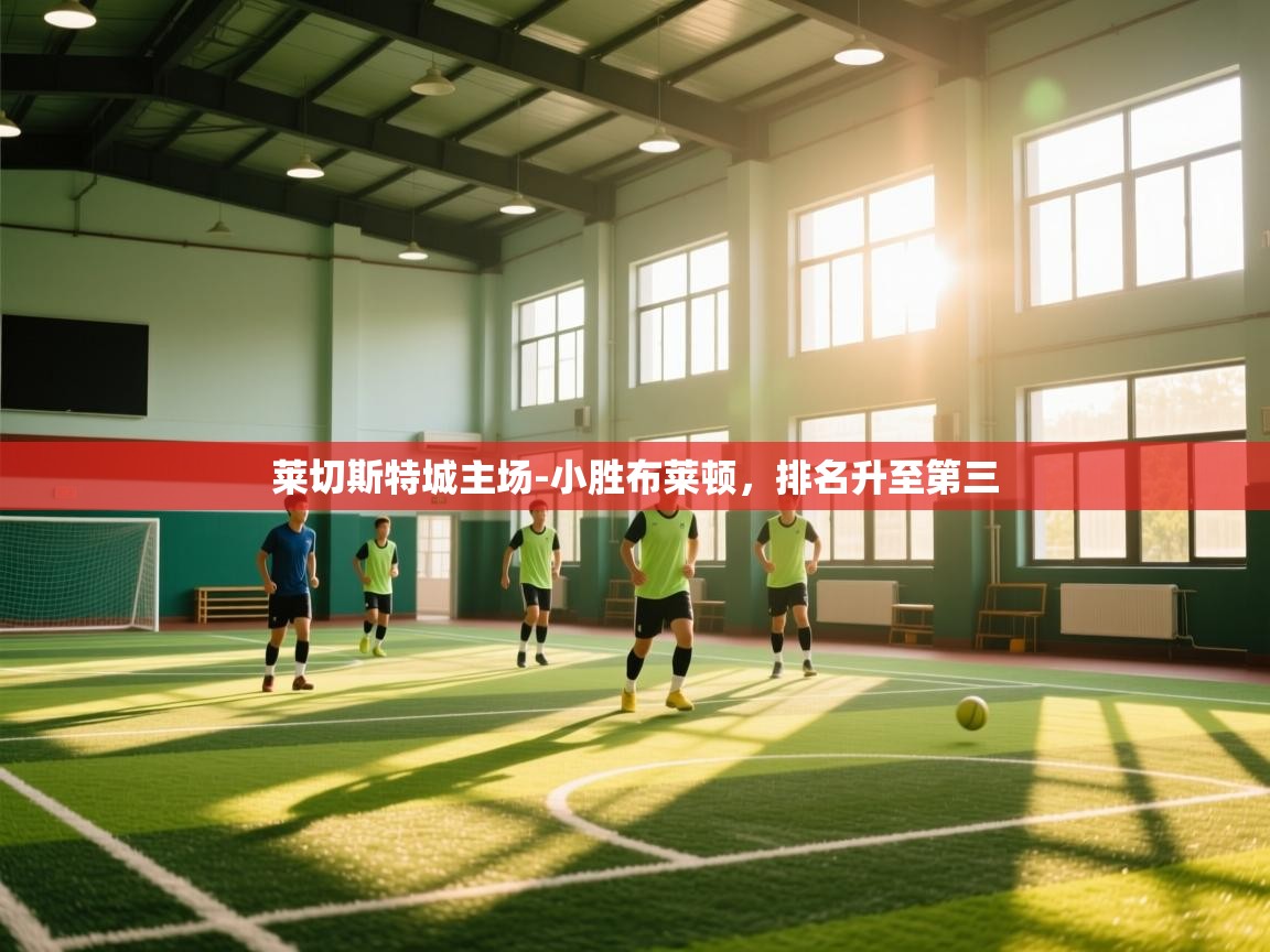 莱切斯特城主场-小胜布莱顿，排名升至第三  第2张