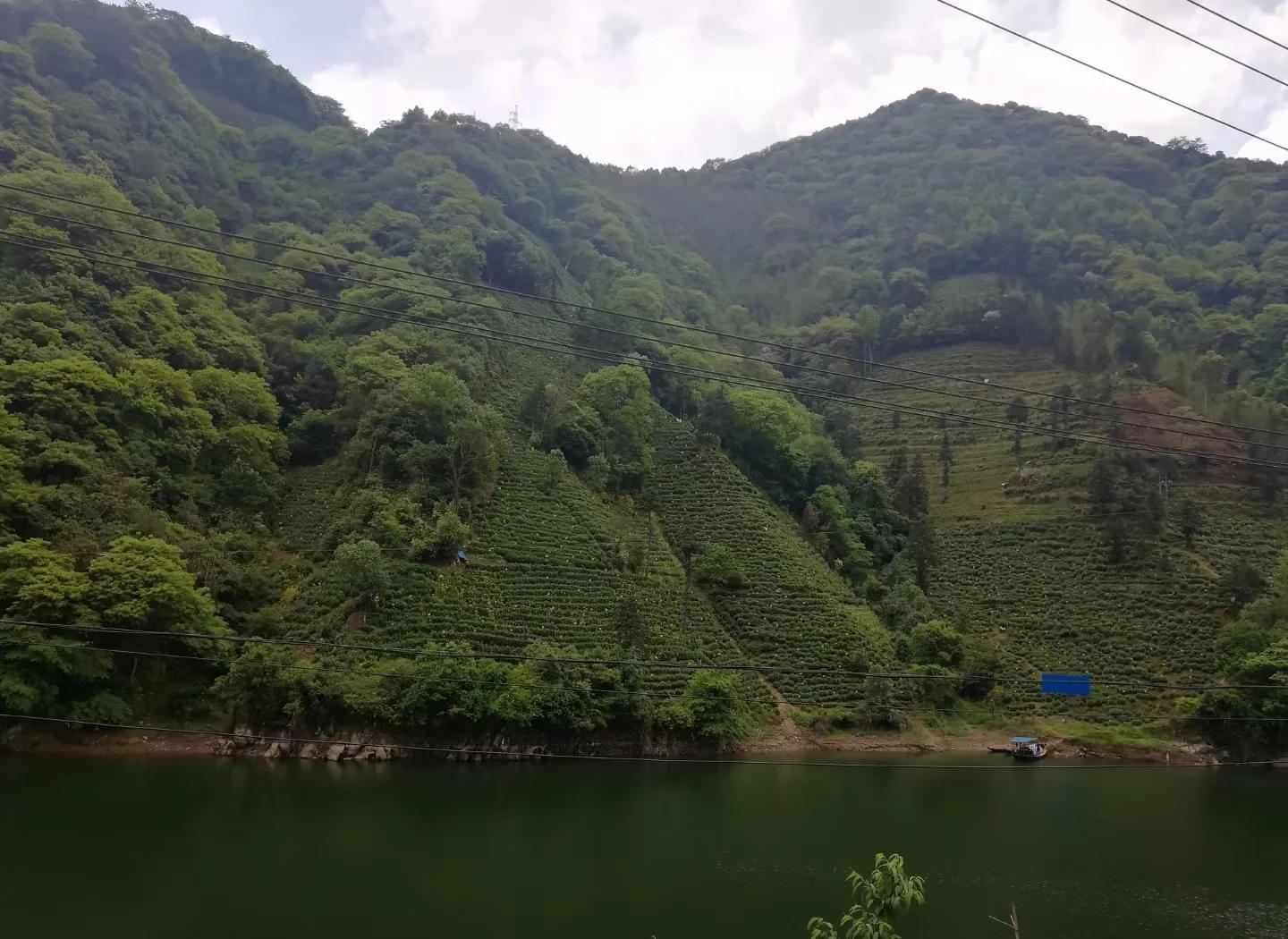 包含浙江复兴传奇：黄山队力挑高难度，绝处反击取得胜利的词条